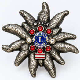 Lions MD-114 Pin